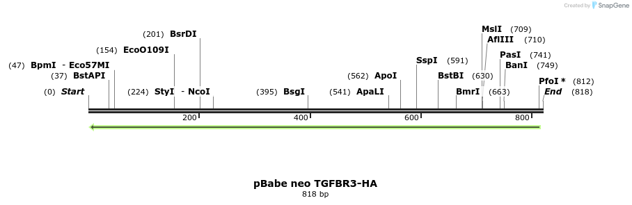 160950_map