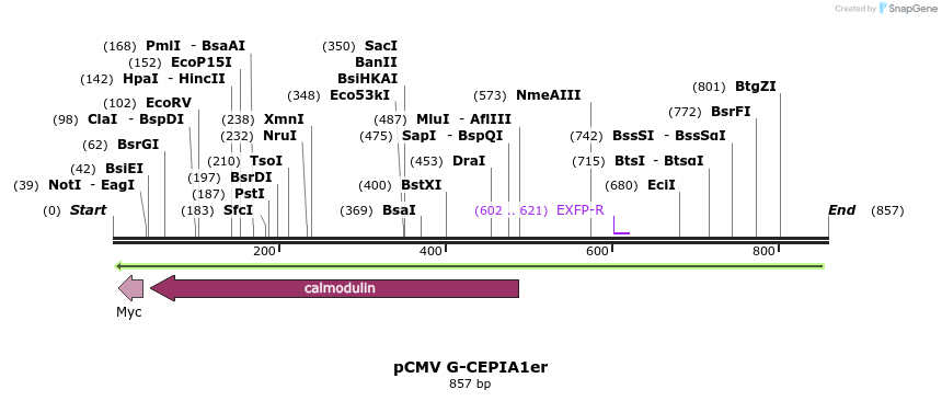 160956_map