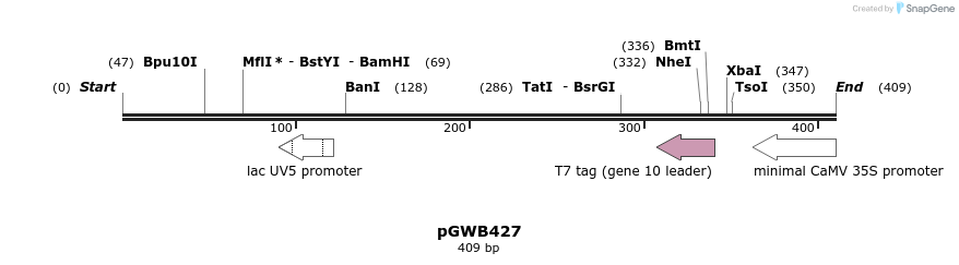 160957_map