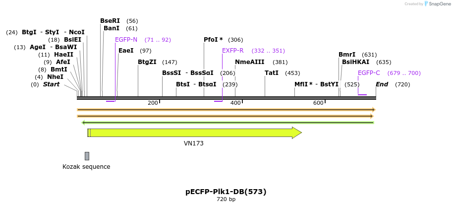 160959_map