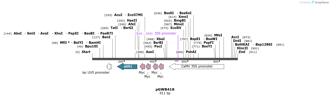 160960_map