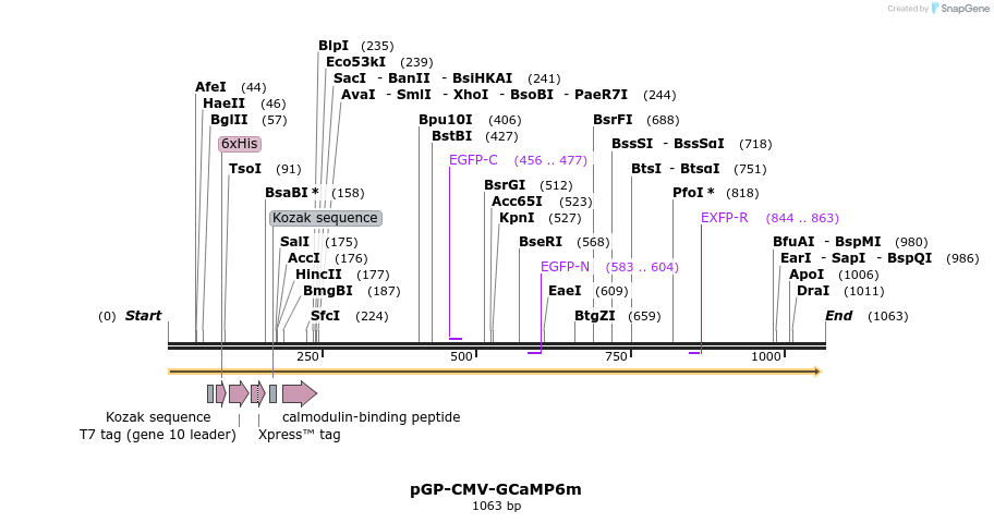 160963_map