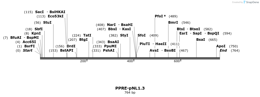 160972_map