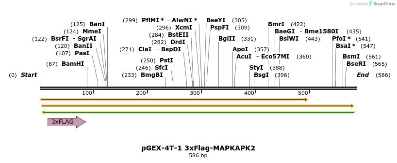 160973_map