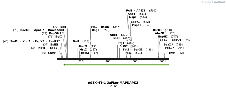 160974_map