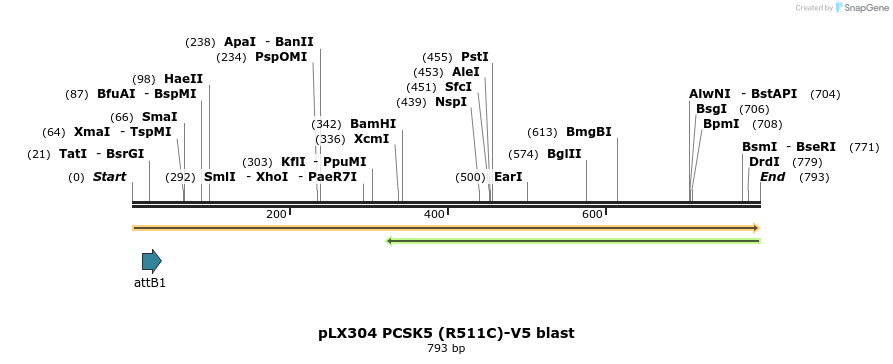 160975_map
