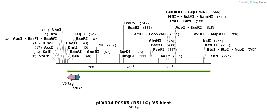 160976_map