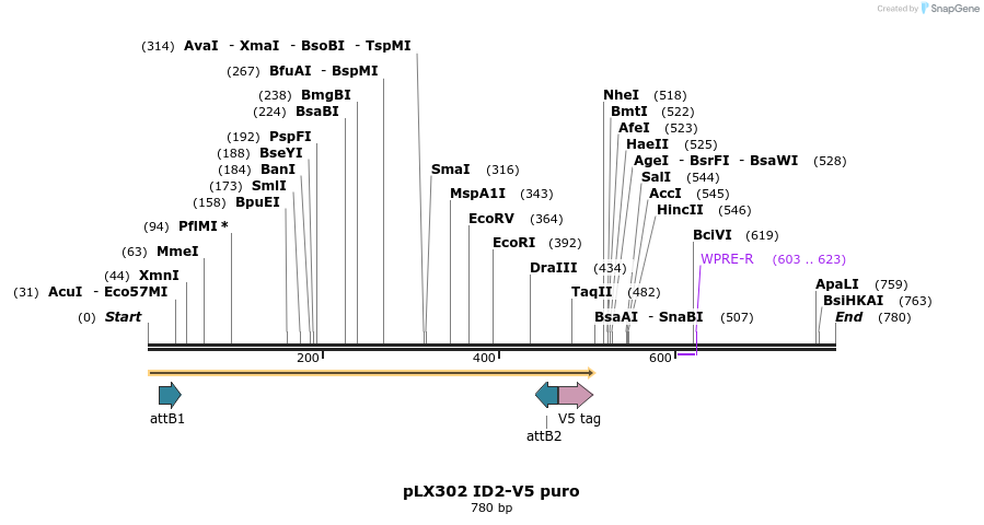 160977_map