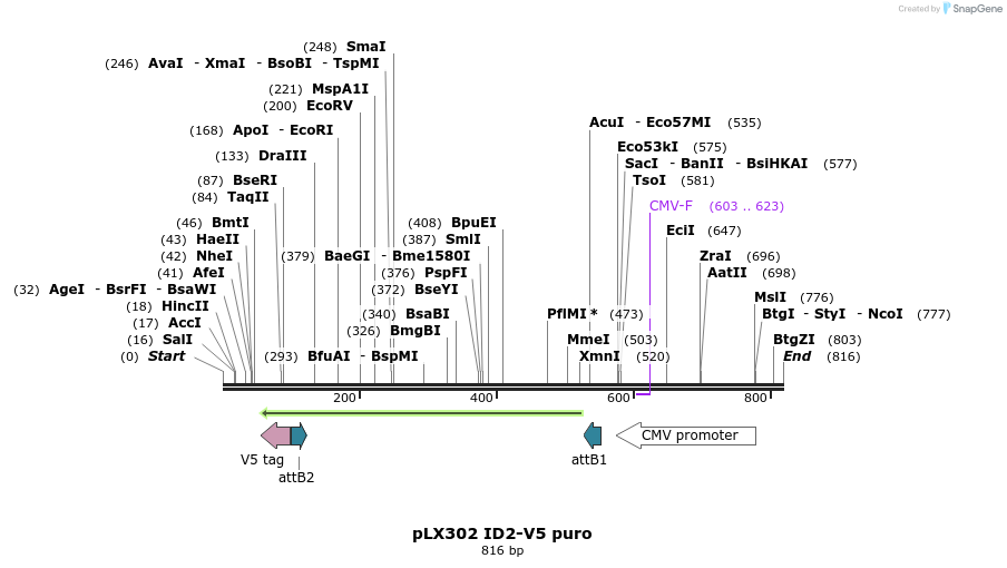 160978_map