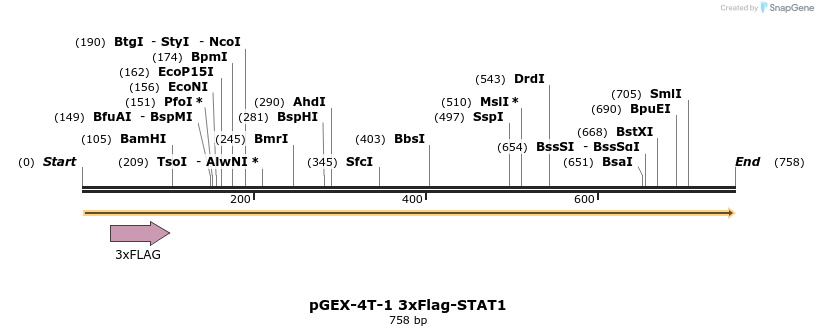 160979_map