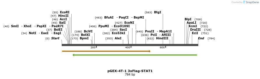 160980_map