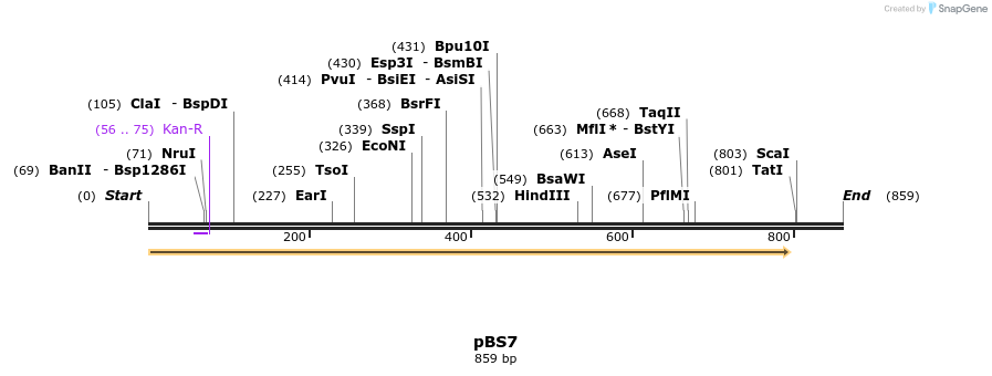 160981_map