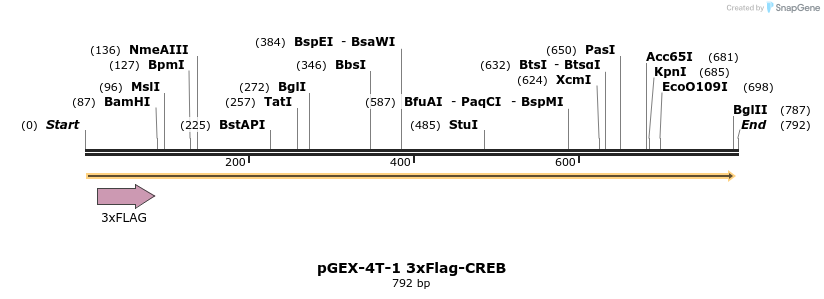 160982_map
