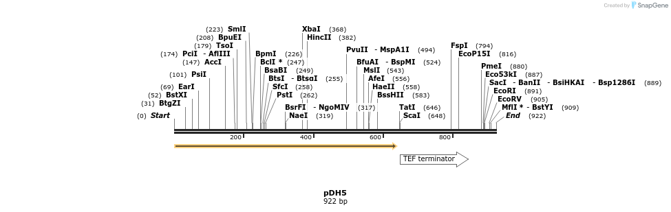 160985_map