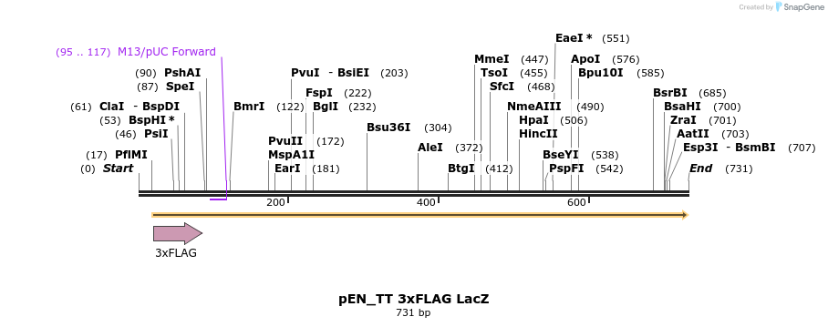 160987_map