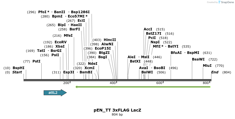 160988_map