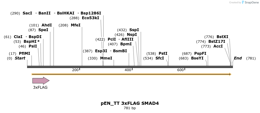 160989_map