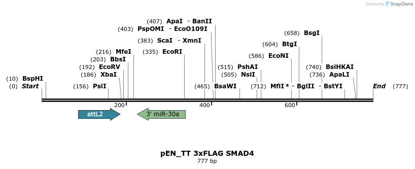 160990_map