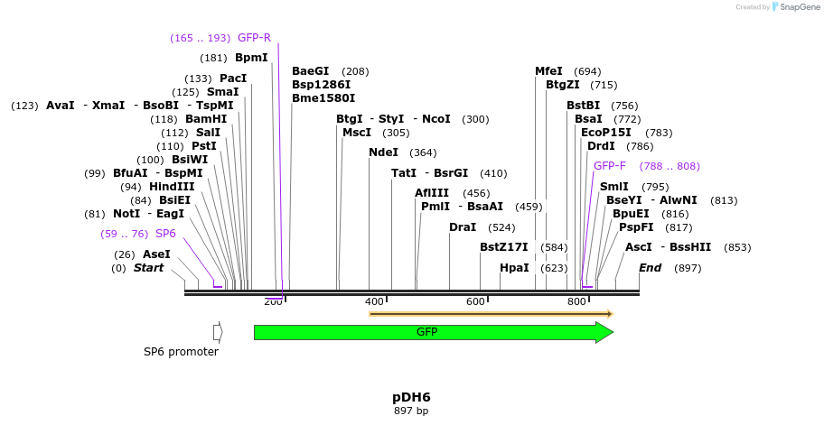 160991_map