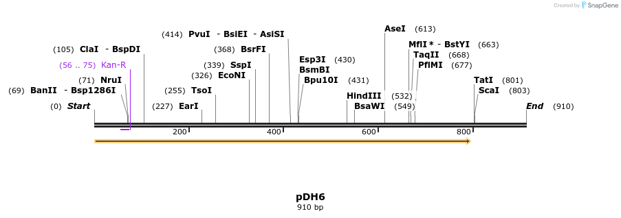 160992_map