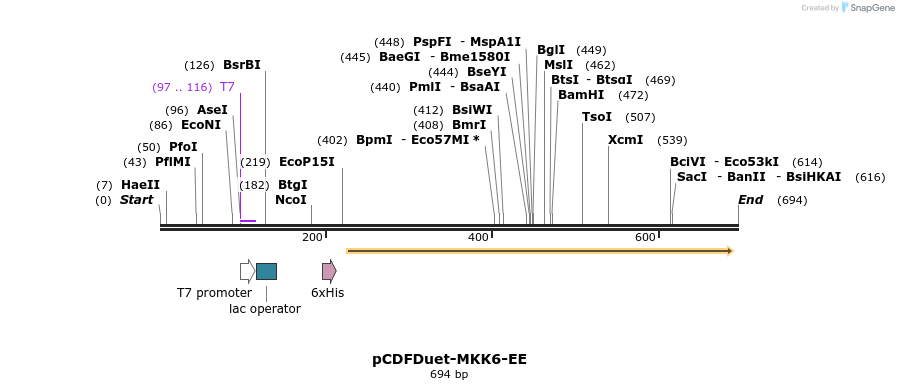160993_map
