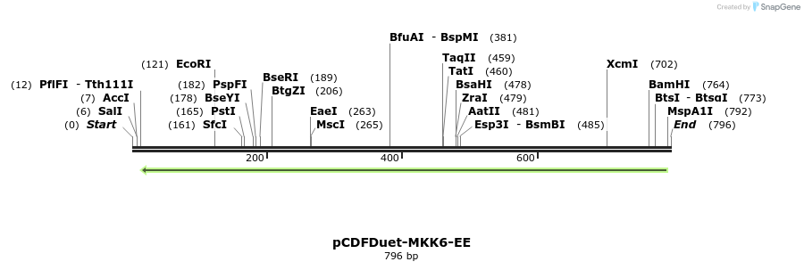 160994_map