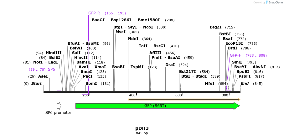 160995_map