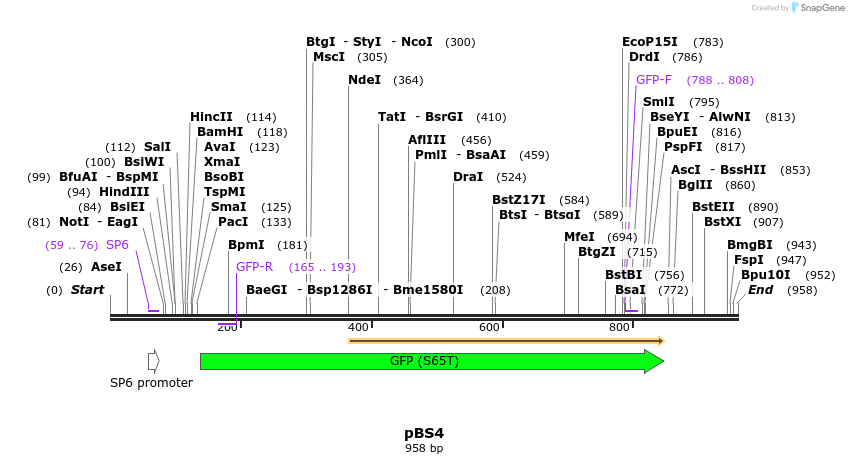 160997_map
