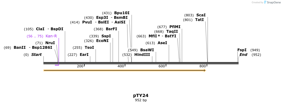 161000_map