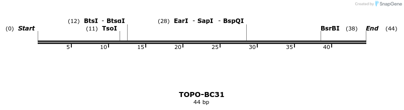 161031_map