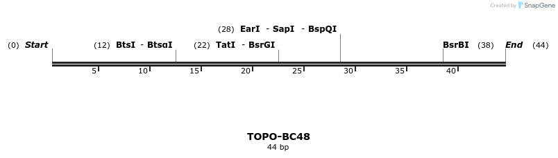 161048_map