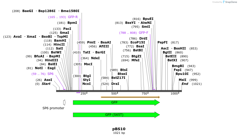161049_map