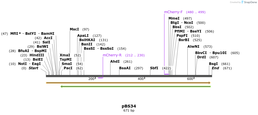 161052_map