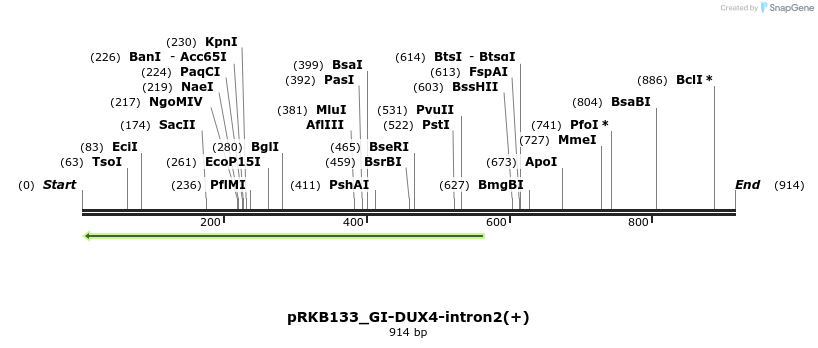 161058_map