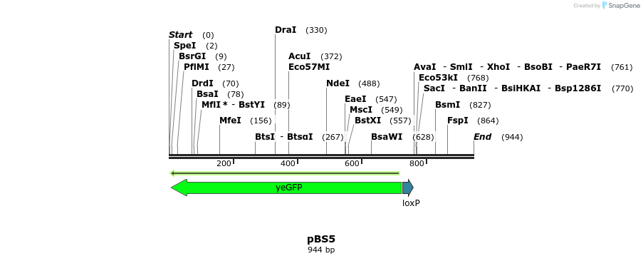 161061_map