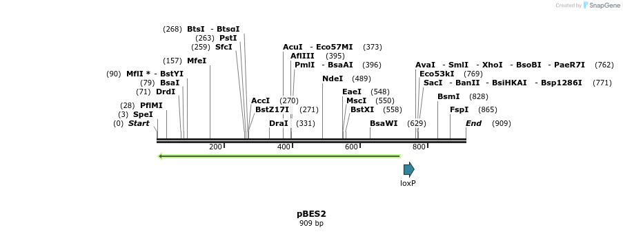 161063_map