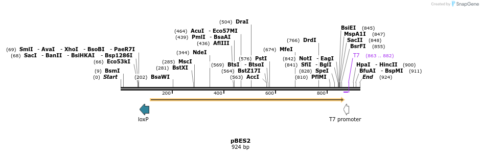 161066_map