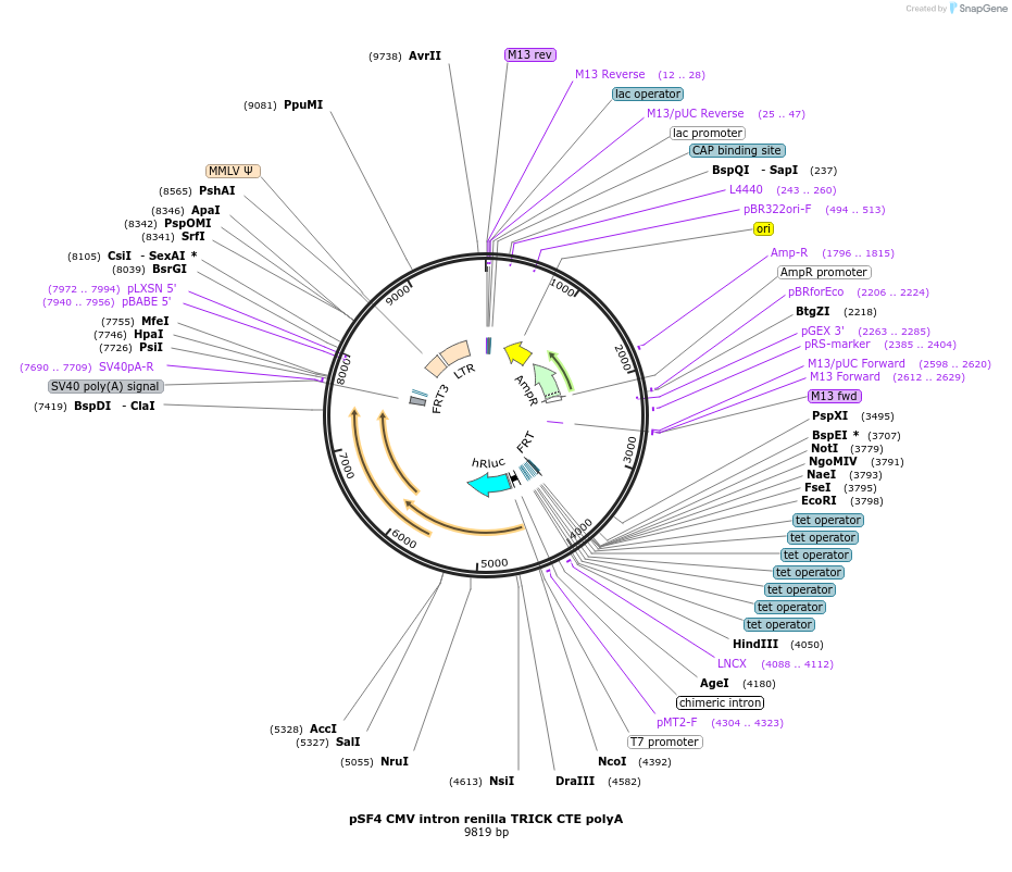 161067_map