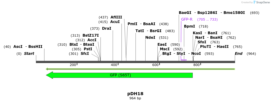 161074_map