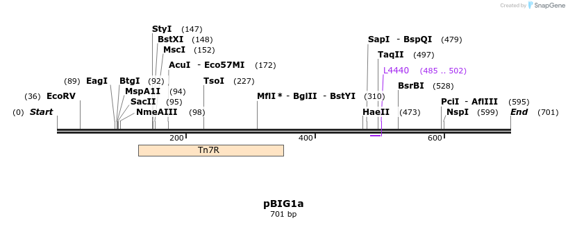 161077_map
