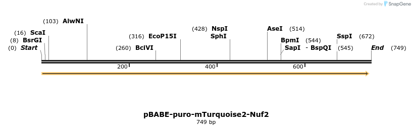 161092_map
