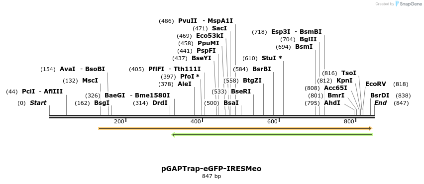 161093_map
