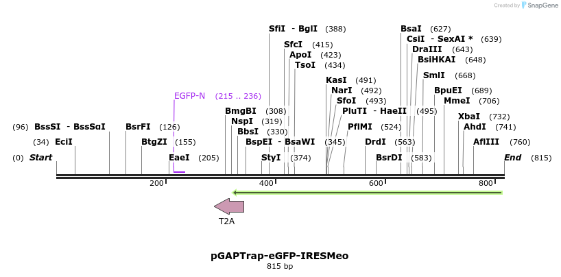 161097_map