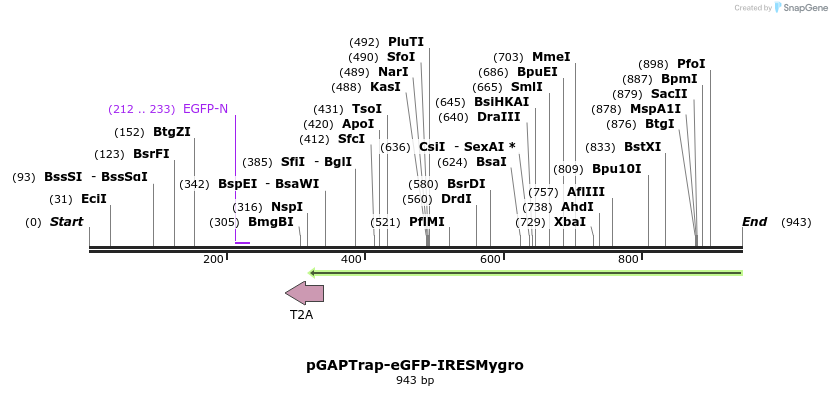 161105_map