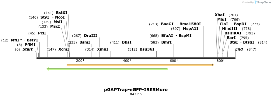 161112_map