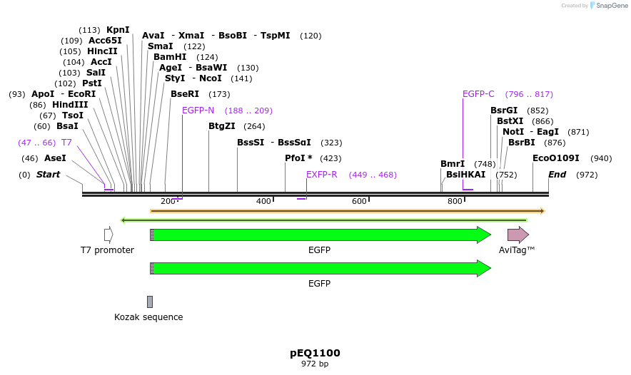 161113_map