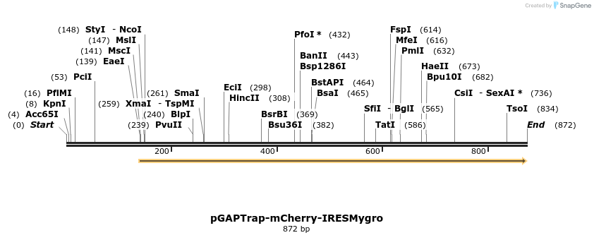 161115_map