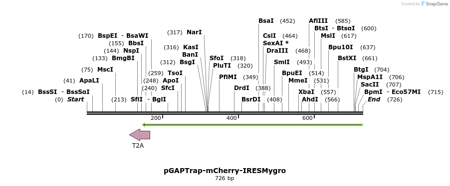 161117_map
