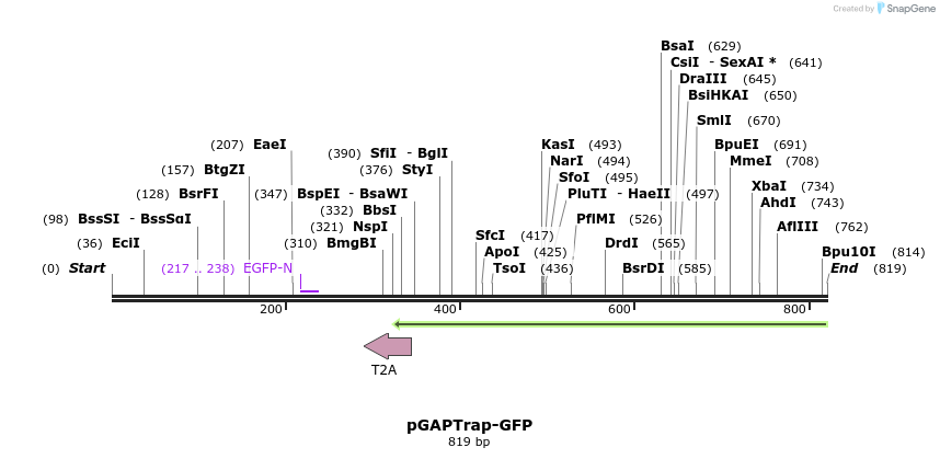 161120_map