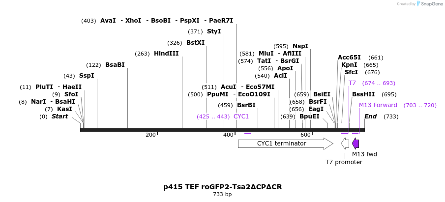 161121_map